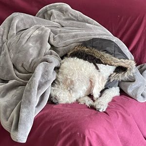 Meet your Posher, Mariah